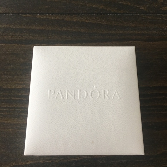 Silver Pandora Bangle Bracelet (x1 Retired Charm) - Picture 3 of 5